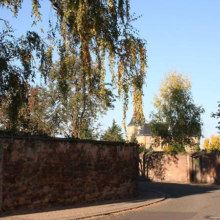 Ferienwohnung Spatzennest In Edesheim Exteriér fotografie